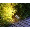 Long Life Lamp Company Stainless Steel Garden Ground Spike Light