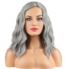 BERON Gray Wig for Women Short Curly Grey Wigs for