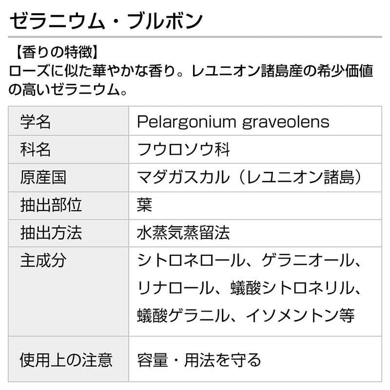 Geranium Bourbon 50ml Incent Essential Oil Essential Oil