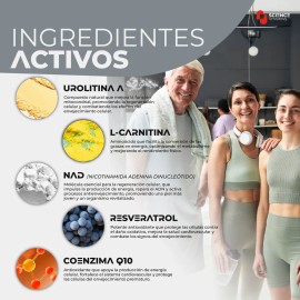 Urolitina A 250 Mg  Nad  Resveratrol Vitalidad Y Energa Coenzima Q10 L-carnitina Antioxidante 60 Capsulas Energia Celular Frmula Premium Longevidad...