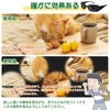 ピンホールメガネ 2個セット 遠近兼用 視力トレーニング メガネ 眼筋運動に 疲れ目 遠近兼用