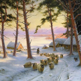 Medici Cards Pack of 6 Charity Christmas Cards - 'Sheep in Snowy Field' - 6 Cards of 1 Lovely Artistic Design