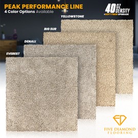 Peak Performance Peel and Stick Carpet Tiles with Attached Cushion, Easy DIY Install, Soft Residential Carpet, Seamless Appearance (Everest, 10 Tiles - 22.5 Square Feet)