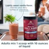 Ancient Nutrition sabores de colágeno múltiple, Vainilla, Large