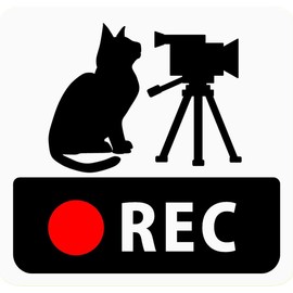 CraftBunny q18r Car Sticker with Dash Cam Cat and Video Camera (Re-peel Sticker) Car Sticker (3.9 x 4.1 inches (9.9 x 10.5 cm)