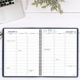 AT-A-GLANCE 2025 Appointment Book Planner, Weekly, 8-1/4" x 11", Large, Quarter-Hourly, Winestone (709505025)