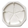 Sand Dollar Casting Mold