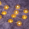 Silverstro 10 ft 30 LEDs Sun Flower Fairy Lights Remote
