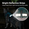 pangdi Cat Harness and Leash Escape Proof Extra Large Kitten