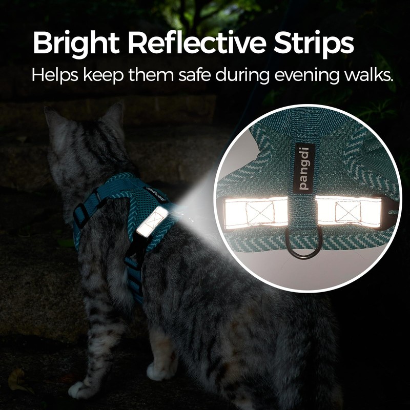 pangdi Cat Harness and Leash Escape Proof Extra Large Kitten