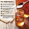 Sap Happy Sugarin' Supplies Heavy Duty 1 Quart Maple Syrup
