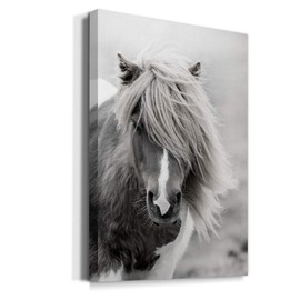 Renditions Gallery Shetland Pony Wall Art, Realistic Black & White Horse Artwork, Portrait Decor, Modern Decorations, Premium Gallery Wrapped Canvas, Ready to Hang, 8 in H x 12 in W, Made in America