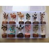 12Pcs Crystal Tree Box, Crystal Mystery Box, Beautiful Small Crystal