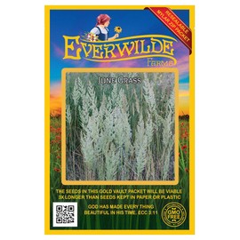 Everwilde Farms - 2000 June Grass Native Grass Seeds - Gold Vault Jumbo Seed Packet