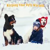 2PCS Dog Winter Hats, Dog Ear Cover Neck Warmer Windproof