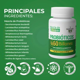 Probióticos 60 Billones 60 Cápsulas De 500 Mg Rinde 120 Días