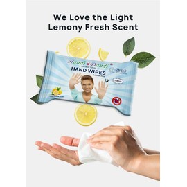 HANDI DANDI ANTIBACTERIAL HAND WIPES LEMON SCENT 10 PACKS OF 10 WIPES. TRAVEL SIZE