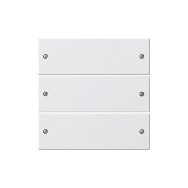 GIRA 218303 White Light Switch