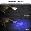 UN brand UV Ultra Violet LED Flashlight Blacklight Light 395/365