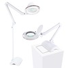 Brightech LightView Pro 2 in 1 Magnifying Floor Lamp &
