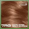 Clairol Natural Instincts Demi-Permanent Hair Dye, 7RG Dark Rose Gold