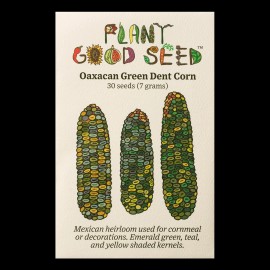 Plant Good Seed Oaxacan Green Dent Corn Seeds
