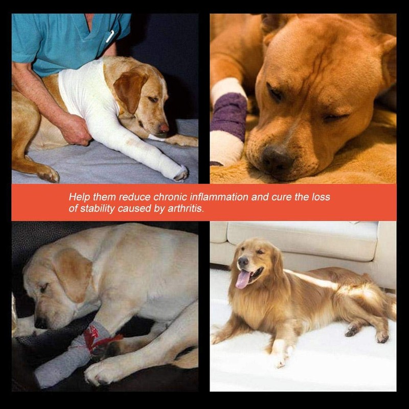 Zerodis Pet Fracture Splint Dog Front and Rear Leg Knee