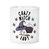 Crazy Witch Lady Stars Makeup Brush Pencil Pot