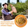 Herb and Flower Supplement for Backyard Chickens Natural Chicken Treats