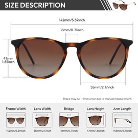 EFE Sunglasses Men Women Polarised Rectangular Sunglasses Unisex Retro Classic Vintage Polarised Glasses UV400 Protection Classic Sunglasses Square for Driving, Sge20121-c1-mgd