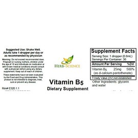 Herb-Science Herb-Science Liquid Vitamin B5 C 36 Servings C High Absorption Pantothenic Acid for Energy, Mood & Nerve Support C Vegan Non-GMO Alcohol Free C Better Than Capsules or Pills C 1 Fl Oz