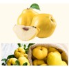 Organic Natural Pure Quince Cut & Sifted Dried Bulk Herbs