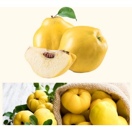 Organic Natural Pure Quince Cut & Sifted Dried Bulk Herbs -10.58 Ounce (300g)