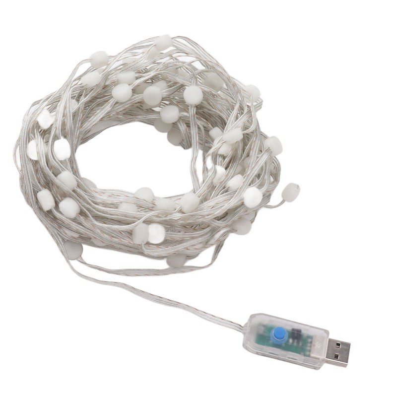 LED Globe String Light USB Powered Remote Control 16 Color