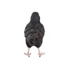 MAISONICA Black Bird Lifelike Ornament Statue Garden Outdoor Indoor H12cm