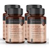 Triple Strength Phosphastidylserine and Phosphastidylcholine x 240 Tablets (4 Bottles