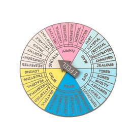 Feelings Emotion Wheel Enamel Pin - Round Color Wheel of Feelings Pin Brooch Badge Gift for Therapist Psychologist Counselor (feelings wheel pin)
