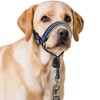 BARKLESS Dog Muzzle for Medium Large Sized Dogs, Soft Padded
