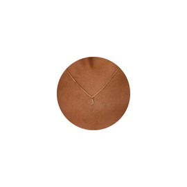 Aghfacy 14K Gold Plated J Necklace Initial Letter Dainty Necklaces for Women