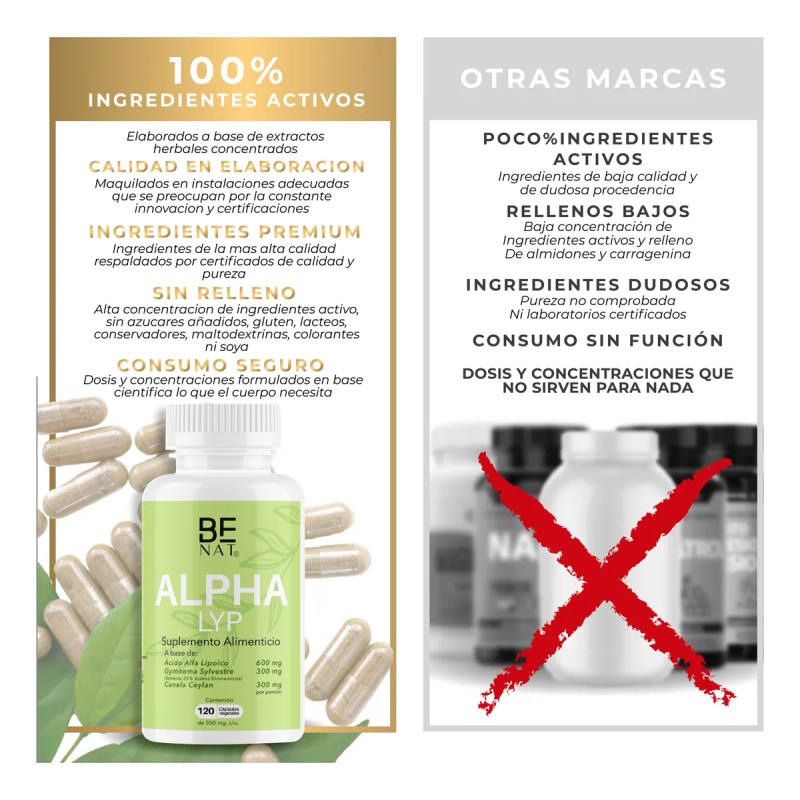 Acido Alfa Lipoico 100% Puro + Gymnema Benat 600mg 120