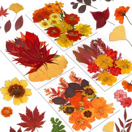 Augshy Fall Pressed Flowers, 72 Pcs Natural Orange Dried Flowers Leaves for Resin Molds Real Red Brown Yellow Pressed Leaves for Crafts DIY Jewelry Molds, Scrapbooking, Epoxy Resin Supplies
