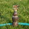 Clever Garden Heavy Duty Decorative Hose Guide - Crest, 1