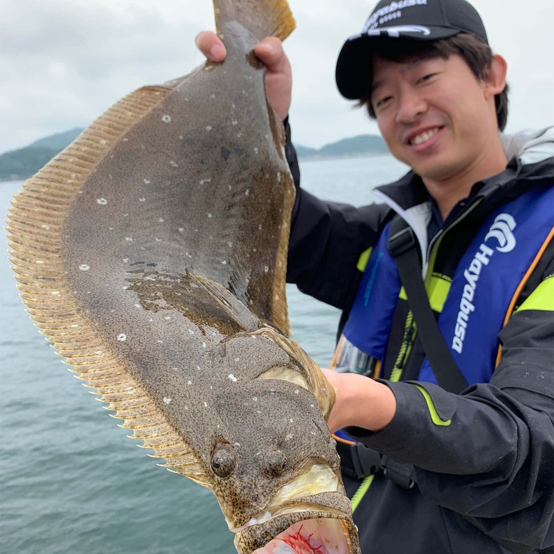 Hayabusa HS362 M 11-5-7 Jigging Sabiki Casting Type Flounder Magochi