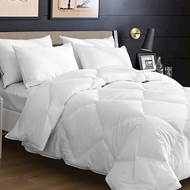 Organic Feathers Down Comforter Queen Size, All Season Ergonomic Goose Feather Down Duvet, Soft Plush 100% Cotton Quilted Medium Warm Bed Comforter Insert with Ties, Ivory White, 90x90