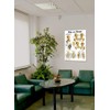 Hip and Knee Anatomical Poster, size 24Wx36T