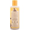 Burts Bee Paw and Nose Lotion, 4-Ounce