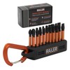 Railer 20pc Screwdriver Bit Set - Premium S2 Steel 2"