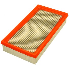 FRAM Extra Guard CA8969 Replacement Engine Air Filter for Select Ford Models, Provides Up to 12 Months or 12,000 Miles Filter Protection