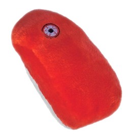 Giant Microbes Plush Toy Rabies (Rabies Virus)