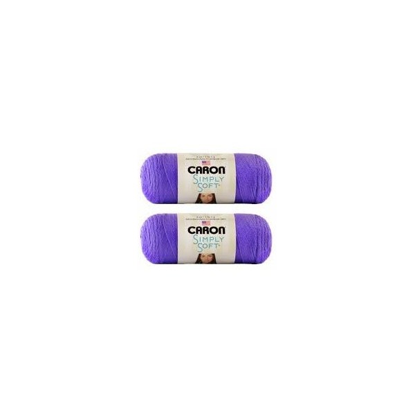 Bulk Buy: Caron Simply Soft Yarn Solids (2-Pack) (Grape)